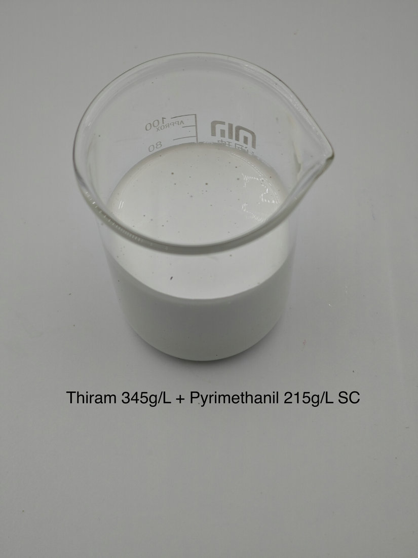 Thiram 345g/L + Pyrimethanil 215g/L SC